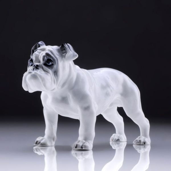 Stehende Bulldogge. Fritz Diller für Rosenthal, B: Stehende Bulldogge. Fritz Diller für Rosenthal, Bahnhof Selb. Umca. 100-120€ Limit? 1938. Porcelain, glazed sowie in polychromen Unterglasurfarben staffiert. Am Boden die Stempelmarke in Unterglasu