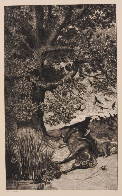 Max Klinger "Gefallener Reiter". 1881.: Max Klinger "Gefallener Reiter". 1881. Etching. In der Platte typographisch signiert "Max Klinger" u.li. und nummeriert "XI" u.re. Blatt 11 aus der Folge "Intermezzi, Opus IV". Vermutlich von fremder