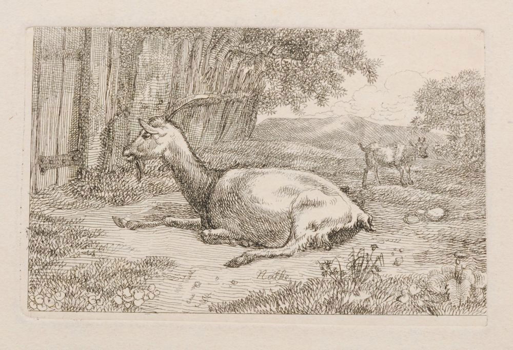 Christoph Nathe "Schlafender Hund" / "Ruhende Ziege vor: Christoph Nathe "Schlafender Hund" / "Ruhende Ziege vor einem Zaun, links hinten ein Zicklein". 2nd half 18th cent. Etchings auf festem Papier. Unsigniert. Jeweils in Blei unterhalb der Darstellung li