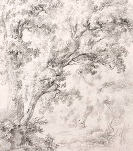 Jakob Wilhelm Huber, Eichen am Lago di Albano. 1812: Jakob Wilhelm Huber, Eichen am Lago di Albano. 1812 oder 1814. Pencil drawing mit Kohlestift. U.re. signiert "JWHuber", ortsbezeichnet und datiert. Im Passepartout. Ebenda verso Klebeetikett mit dem S