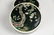 A PAIR OF BLACK GROUND FAMILLE VERTE JARS, 18-19TH C - 15