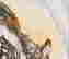 item-128535038=4