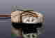 item-131372581=5
