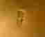 item-137045647=14