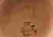 item-137045674=11