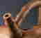 item-137045674=6