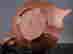item-137045687=7
