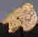 item-137045741=2