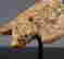 item-137045741=3