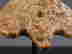 item-137045741=4