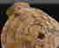 item-137045741=6