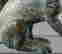 item-137045799=7