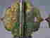 item-137045811=2