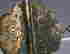 item-137045811=4