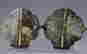 item-137045811=6