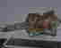item-137045833=8