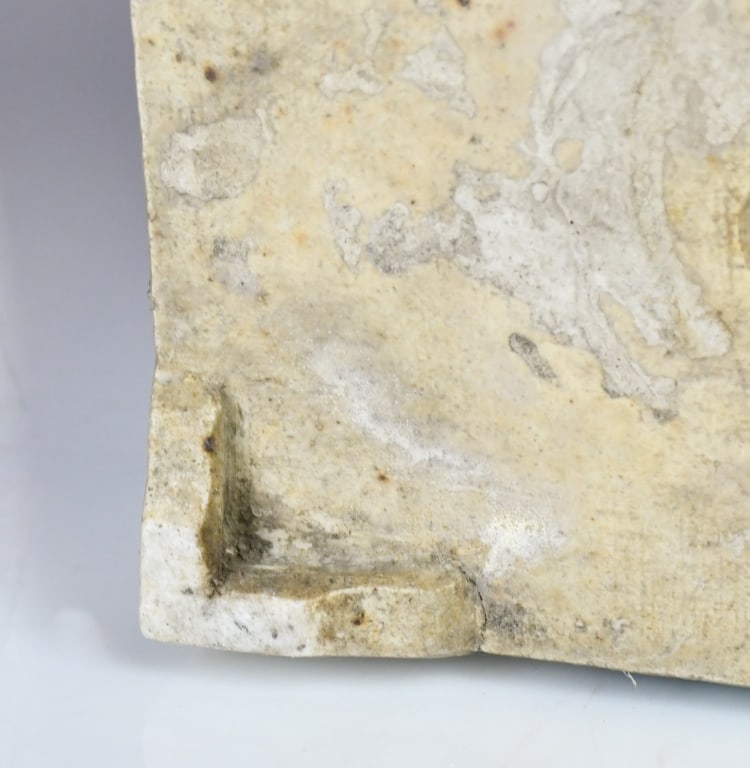 Pair Famille Rose Rectangular Flowerpots 19thC - 14