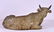 Large Italian 18/19th C. Carved Wood Cow - 3