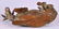 Large Italian 18/19th C. Carved Wood Cow - 8