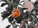 Chinese Jade & Gem Stone Tree in Cloisonne Pot - 10