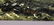 Large Sam Newton Florida Highwayman O/B - 6