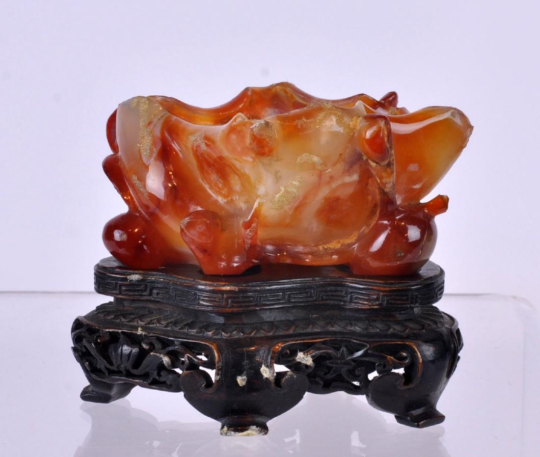 Carnelian Carved Water Coupe Dish on Plinth: Free form carved carnelian water coupe dish on carved wood plinth. Dish 3.25"L X 2.75"W X 1.5"H; plinth 3.25"L X 2"W X 1.25"H. Chips to dish, see photos. In house shipping continental US $35 plus insu