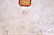 KPM Germany Hand Painted Plaque - 9