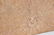Karl Springer Style Shagreen Wrapped Wood Box - 2