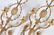 Pr. 19/20th Gilt Metal Wall Sconces - 4