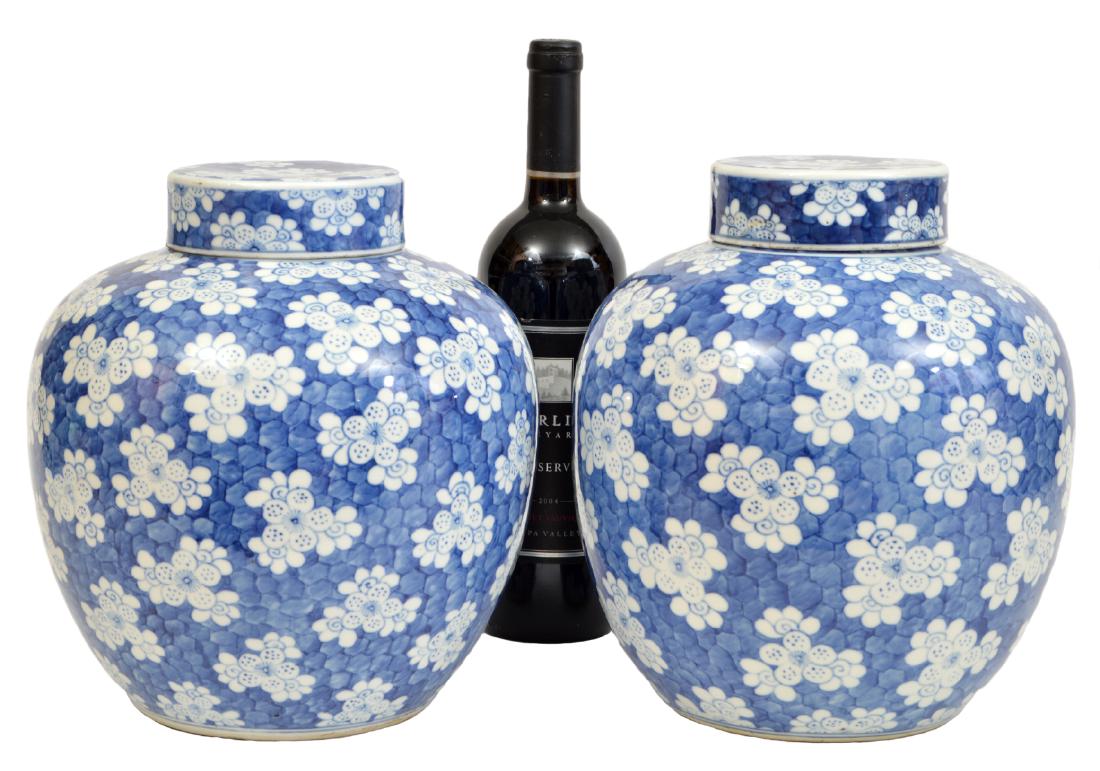 Pr. Chinese Vases Blue and White Lidded Jars (1 of 10)