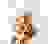 item-95768274=3