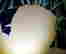 item-136783772=18