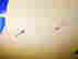 item-136783772=19