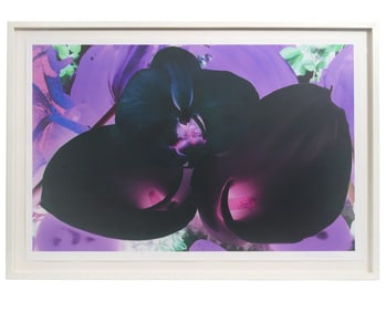 Marc Quinn 'At The Far Edge of The Universe'