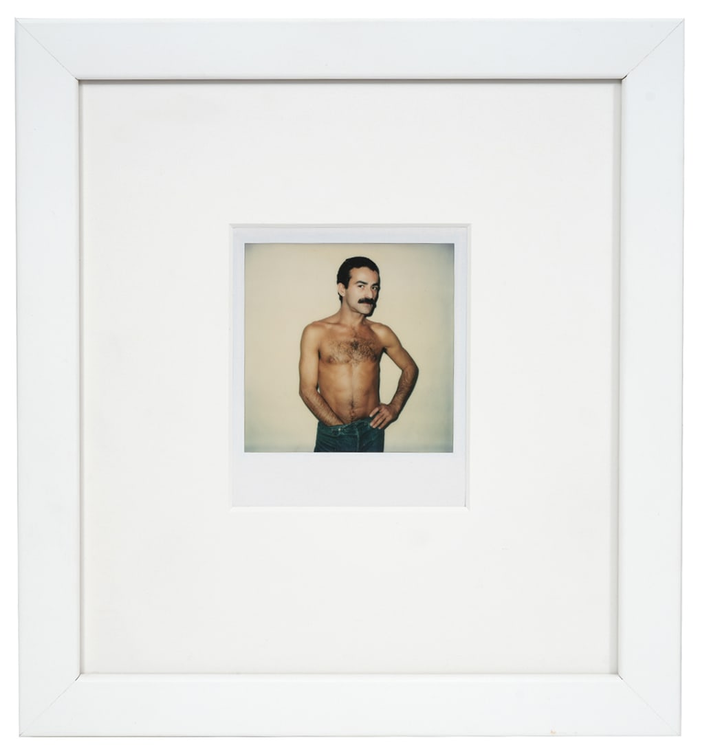 Andy Warhol Polaroid Christies Provenance (1 of 8)