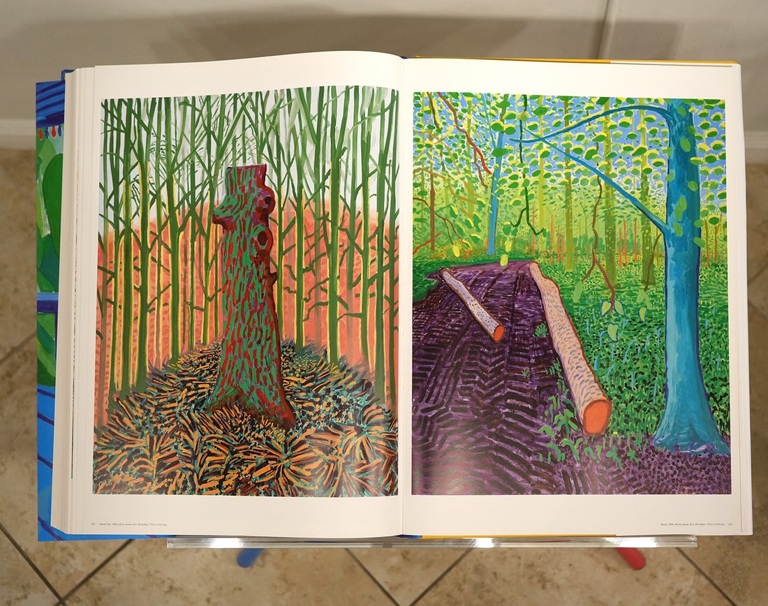 David Hockney 'A Bigger Book' Taschen - 17