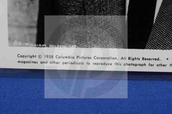 CGC Photo William Holden 1958 Culver Pictures - 3