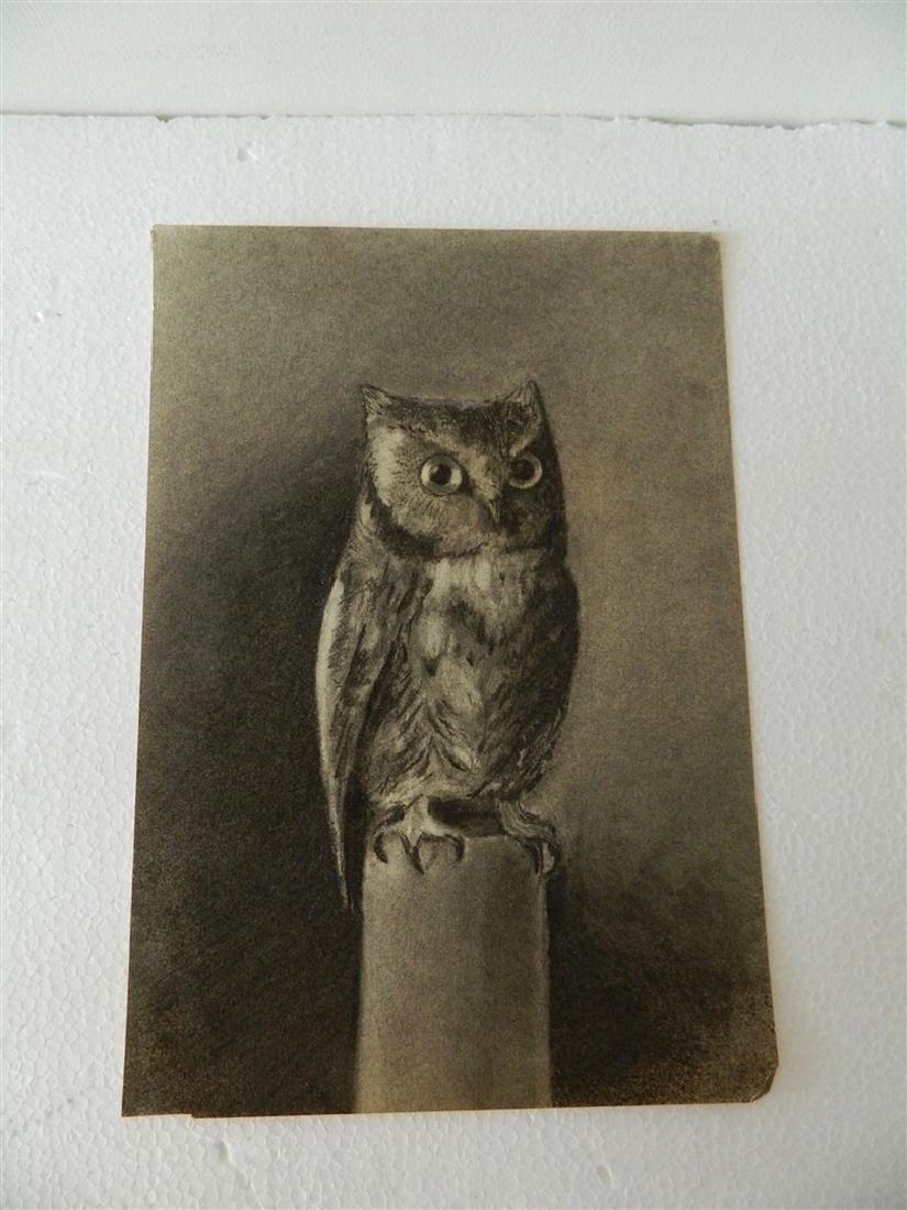 Charcoal of Owl: Measures approx. 11 3/4 x 8 1/4 inches. O Donnell signed on reverse. Minor crease in lower right edge otherwise good condition.
