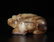 A CARVED WHITE AND RUSSET JADE BEAR , Han Dynasty - 4