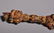 AN IRON-GILT PHURPA. - 3