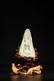A CARVED WHITE JADE 'DRAGON' BOULDER.QING PERIOD