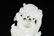 A CARVED WHITE JADE 'PINE TREE' BOULDER.QING PERIOD - 7