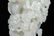 A CARVED WHITE JADE 'PINE TREE' BOULDER.QING PERIOD - 9