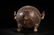 A BRONZE FOOD VESSEL AND COVER.QING PERIOD - 8