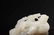 A CARVED WHITE JADE BOY GROUP.REPUBLIC PERIOD - 3