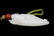 A CARVED WHITE JADE DRAGON PENDANT - 3