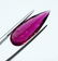 Natural Rubelite Tourmaline Pear Shape- 7.72 ct - 5