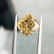 Fancy Brown Yellow Diamond - 6.06 ct. GIA Cert. - 5