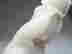 item-51166864=2