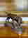 item-120235019=3